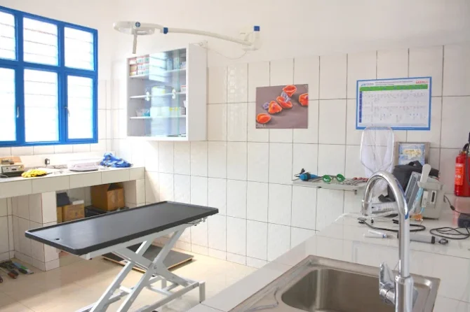 New Vision Veterinary Hospital Musanze